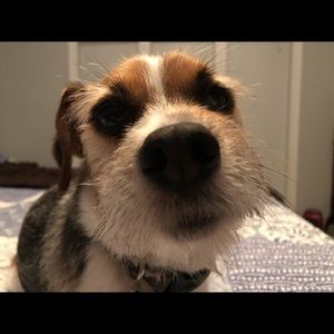 Meet your Posher, Carter